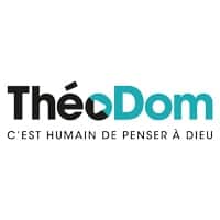 logo-theodom